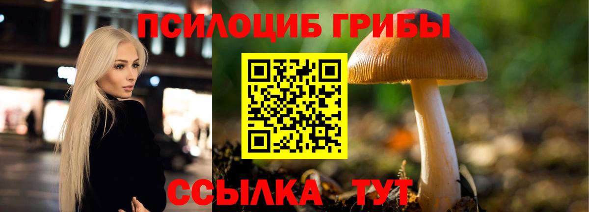 Галлюциногенные грибы мухоморы  Галлюциногенные грибы Psilocybine cubensis  Десногорск  Вход с VPN 